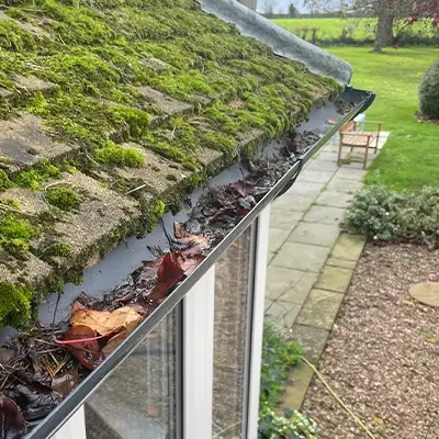 Large Gutter Cleaning