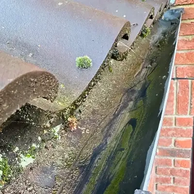 Dirty Gutter Cleaning