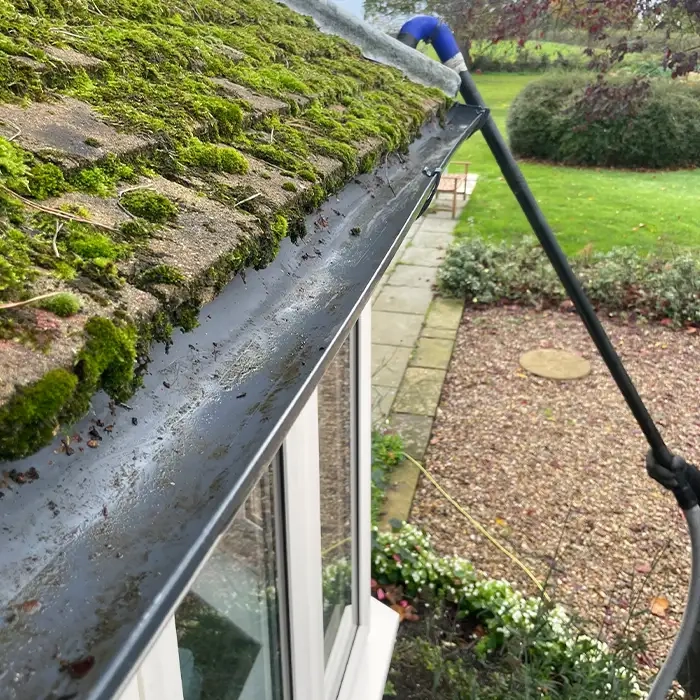Gutter cleaning holt