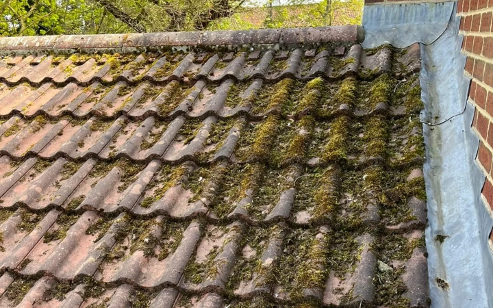 Professional Roof Clean