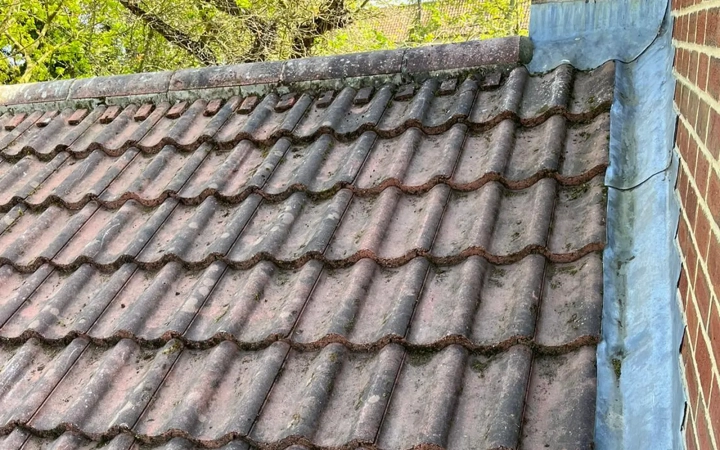 Professionally Cleaned Roof